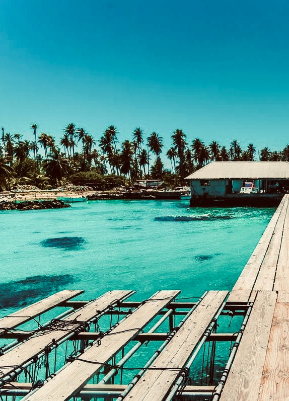 Au cœur des Tuamotus , Apataki, là où naissent nos perles